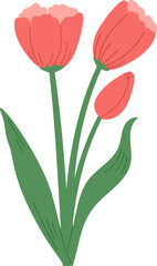 Hand draw red tulip vector illustration. Springtime flower