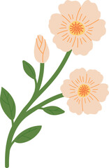 Hand draw mallow vector illustration. Spring yellow flower