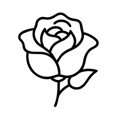 rose The most beautiful flowers in the world 