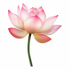 Realistic Pink Lotus Flower with Delicate Petals and Green Stem Isolated on Transparent Background. Generative Ai.