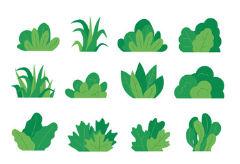 Green bush blossom. grass bush vector illustration	
