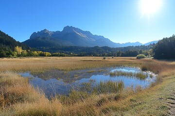 Sunny autumnal marsh reflects mountains