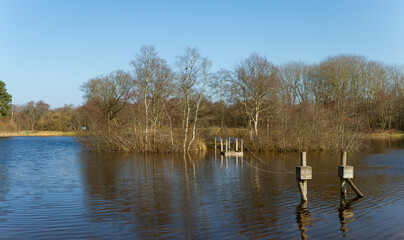 Floating Wooden Platform on a Tranquil Lake Surrounded by Bare Trees in a Peaceful Dutch Nature Reserve