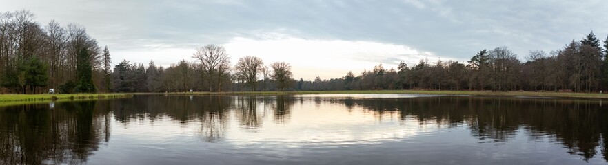 Mallard Ducks Swimming on Calm Water Surface at Sunset in Peaceful Natural Habitat of Hoge Veluwe National Park