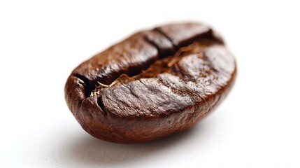 Single coffee bean with detailed texture on a white background, isolated view