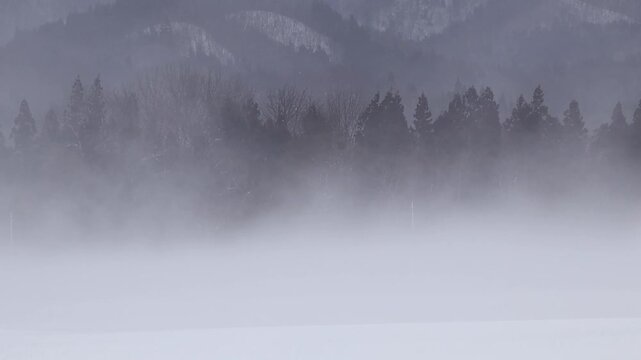 吹雪　暴風雪　冬　強い風　寒気　雪　北国　イメージ	