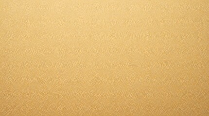 Golden Grains of a Warm Sandy Beach