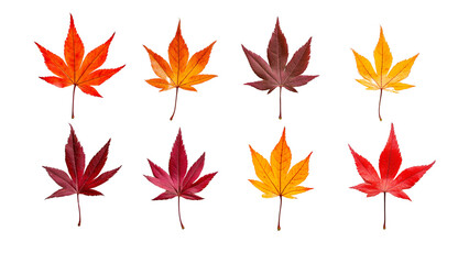 set of autumn leaves