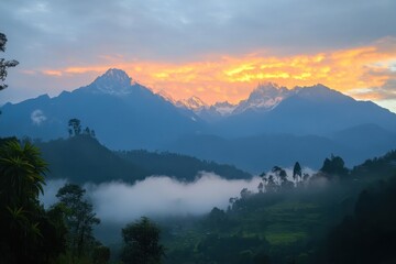 Stunning sunrise illuminates a mist covered mountain range, with lush greenery and silhouetted trees adding depth to the tranquil landscape