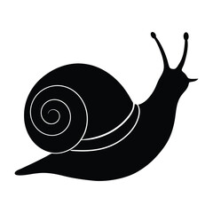 snail 
