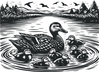 Duck Family in a Serene Pond: Black and White Nature Illustration. Duck Family's Swim: A Beautiful Illustration of Nature.