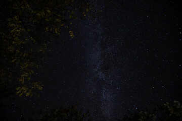 night starscape in the countryside