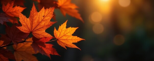 Crisp orange autumn leaves, glowing golden highlights against deep black , season, orange