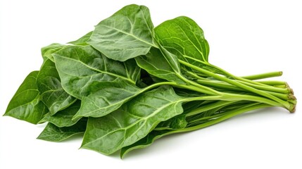 A close-up of fresh taro leaves overlapping each other, their rich green hues contrasting beautifully with the bright white background
