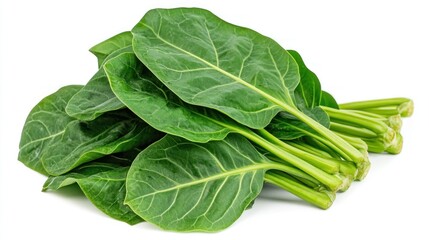 A close-up of fresh taro leaves overlapping each other, their rich green hues contrasting beautifully with the bright white background