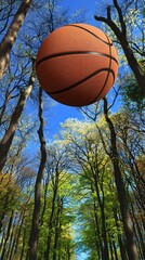 Basketball in forest sky, suspended, photo for sports, nature