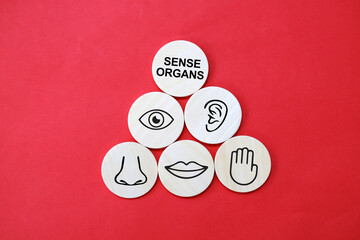 hexagons with five Sense organs icons namely sight, hearing, smell, teste and touch. basic 5 human...