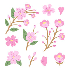 Cherry Blossom Flowers Petals Branches Set. Hand drawn spring sakura design elements. Japanese Hanami blooming plants collection. Botanical vector illustration