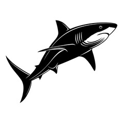 Shark silhouette 