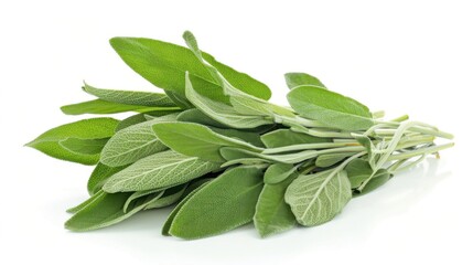 A close-up of fresh sage sprigs, with their vibrant green color standing out against the neutral background.