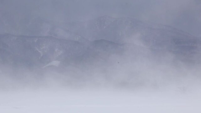 吹雪　暴風雪　冬　強い風　寒気　雪　北国　イメージ