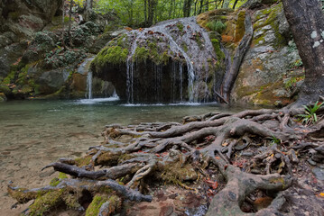 Russia, Republic of Crimea. View of the waterfall of the Ulu-Uzen River in the shade of the rocky thickets of the mountain gorge of the Haphali Hydrological Reserve surrounded by tree roots.