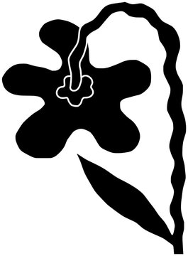 recommend clip art: flower illustration decoration silhouette floral logo nature icon spring outline plant daffodil bouquet blossom garden botanical leaf flora narcissus shape or vector graphic background