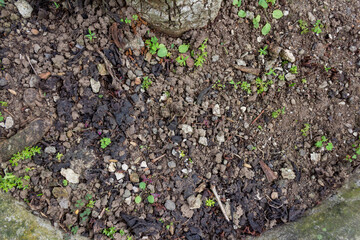 Close-Up of Rough and Gravelly Ground Texture