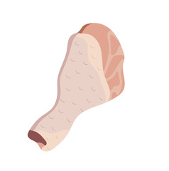 Raw Chicken Leg or Drumstick Illustration Isolated on White Background