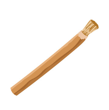 Miswak or Siwak Natural Toothbrush Illustration Isolated on White Background