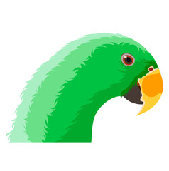 Green Parrot Animal Illustration Isolated on White Background