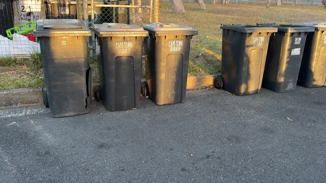 A row of bins shimmer in the last sunlight of the day in a dumpster in Cape Town.