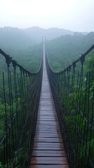 Obraz premium Walk Rainy Suspension Bridge Lush Forest