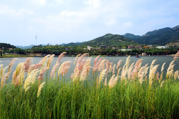 Tianshui Lake, Qingdao World Horticultural Exposition Park, Shandong Province, China. August 2014, China.