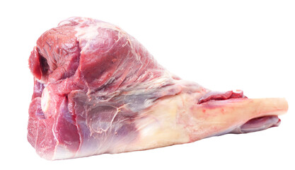 Lamb leg isolated