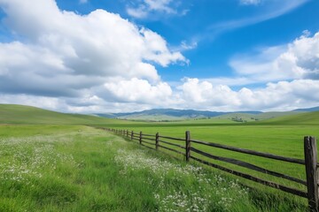 Fototapeta premium A large, open field with a fence in the middle. The sky is blue and there are clouds in the background