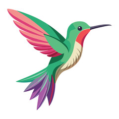 hummingbird on a branch