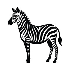 zebra vector illustration
