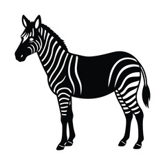 zebra vector illustration