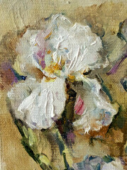 Abstract bright colored decorative background . Floral pattern handmade . Beautiful tender romantic bouquet of iris flowers , made in the technique of oil from nature.