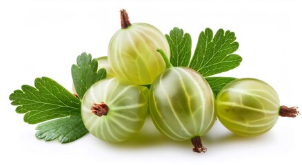 Fresh green gooseberries with vibrant leaves