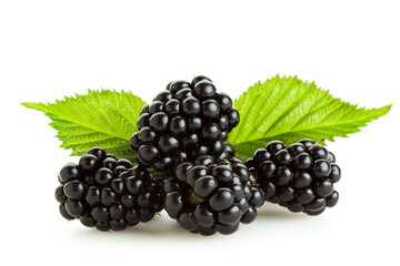 Blackberries with leaves isolated on white background