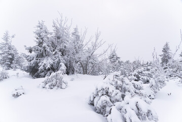 Karkonosze in winter in Poland. Winter mountain landscape...