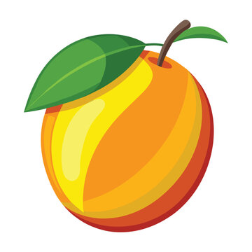 recommend clip art: Mango fruit vector illustration
