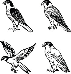 A beautiful falcon line art collection. This vector artwork is perfect for children's coloring books, digital designs, t-shirts and branding etc. Ideal  for wildlife lovers and artistic projects.