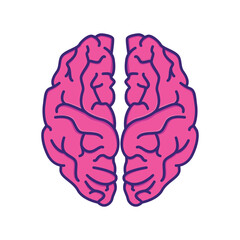 Brain Cartoon Icon Illustration
