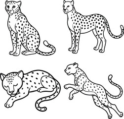 A beautiful collection of cheetah line art in various poses. This vector artwork is perfect for children's coloring books, digital designs, t-shirts etc.Ideal for wildlife lovers and artistic projects