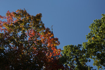 CITYSCAPE - A crucifix on top of a church tower and an autumn tree
