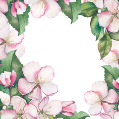 Watercolor apple bloom frame. Retro pink flowers (apple, cherry blossom). Floral frame for vintage greeting card. Aquarelle