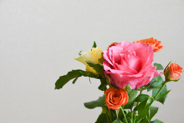 カラフルな薔薇